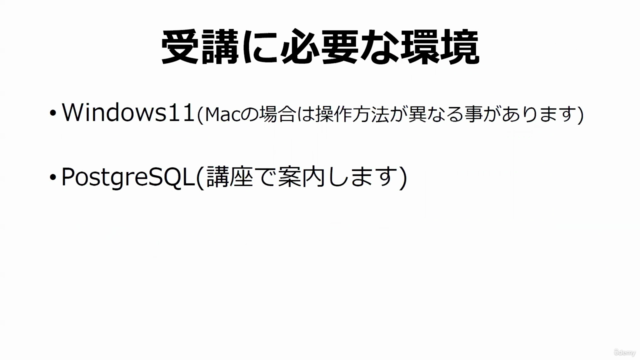 PostgreSQL入門！新入社員研修向け！現場で最低限必要なSQLの基本文法をサクッと学ぶ！SQLを初めて習う方必見！ – Screenshot 3