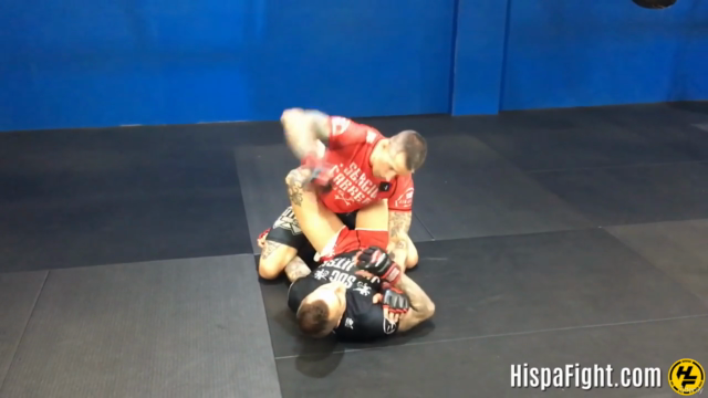 MMA | Ground & Pound (Golpeo en el suelo) en Español – Screenshot 1