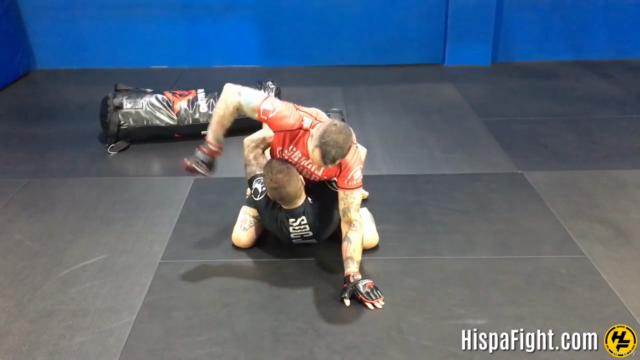 MMA | Ground & Pound (Golpeo en el suelo) en Español – Screenshot 3