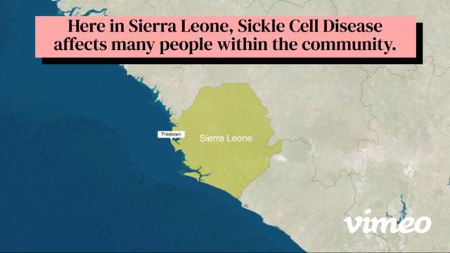 Sickle Cell Disease CRASH COURSE + Practice Quizzes – Screenshot 1