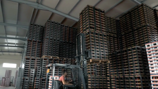 Master Course in Operations, Logistics and Lean Management – Screenshot 1