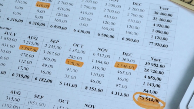 Supply Chain (Sales and Operations Planning) S&OP – Screenshot 2
