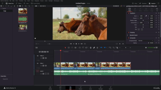 Başlangıç Seviyesinde DaVinci Resolve 18 Öğrenin – Screenshot 1