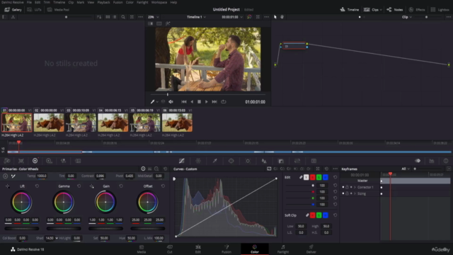 Başlangıç Seviyesinde DaVinci Resolve 18 Öğrenin – Screenshot 4