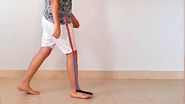 Comprehensive Gait Analysis : Understanding Human Locomotion – Screenshot 2