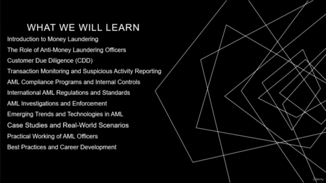 Complete Guide to Anti-Money Laundering (AML) Officers – Screenshot 1