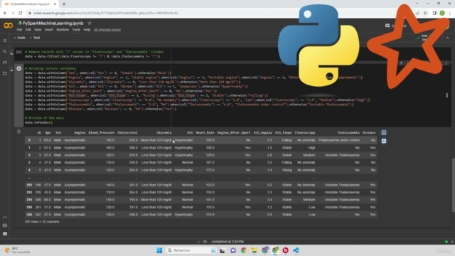 PySpark pour Data Engineer et Data Scientist avec 2 projets – Screenshot 4
