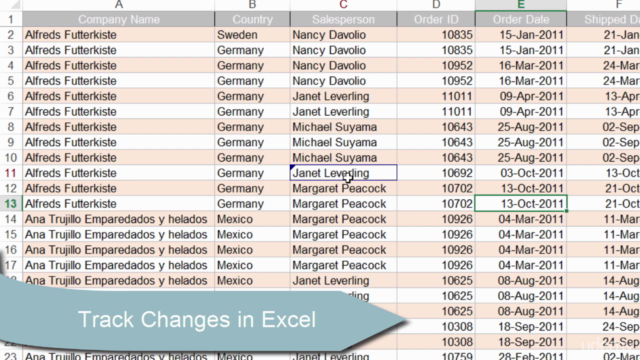 Excel: Core Data Analysis, and Workbook Customization – Screenshot 3
