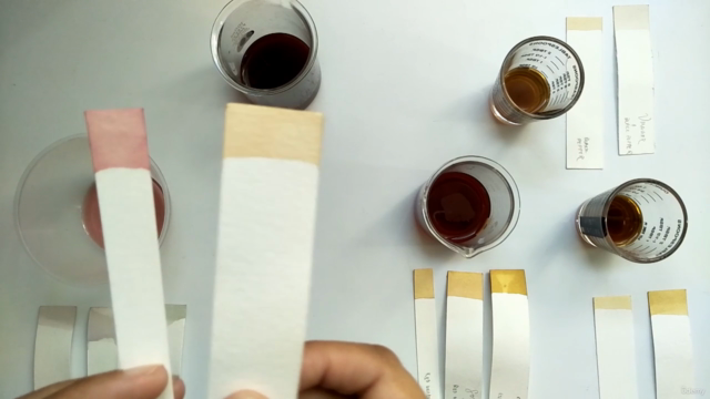 Calligraph-ink: Introduction To Natural Ink Making – Screenshot 1