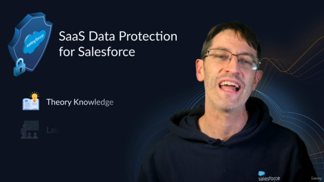Principles of Salesforce Data Protection – Screenshot 4