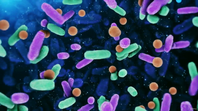 Gut-Brain Axis Uncovered – Screenshot 2