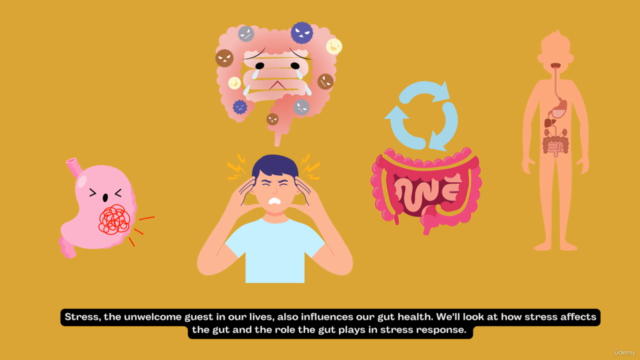 Gut-Brain Axis Uncovered – Screenshot 3