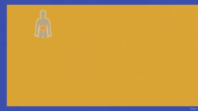 Gut-Brain Axis Uncovered – Screenshot 4