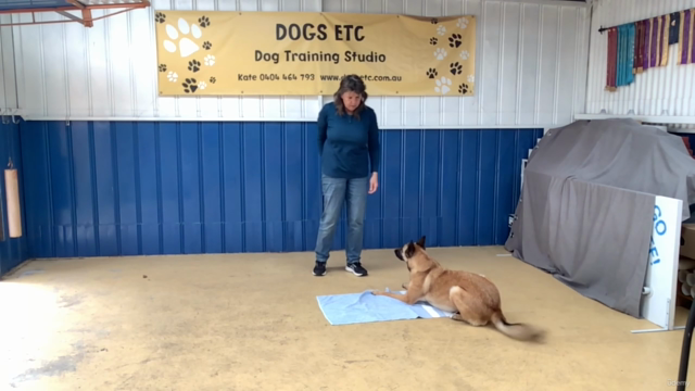 Herding Games for Urban Dogs - No Sheep Required! – Screenshot 1