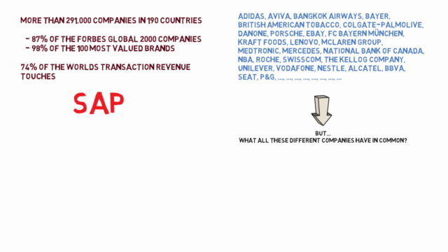 What is SAP - Basic Introductory Course – Screenshot 1