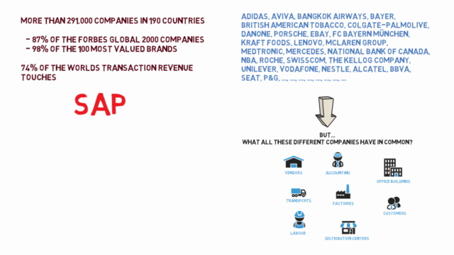 What is SAP - Basic Introductory Course – Screenshot 2