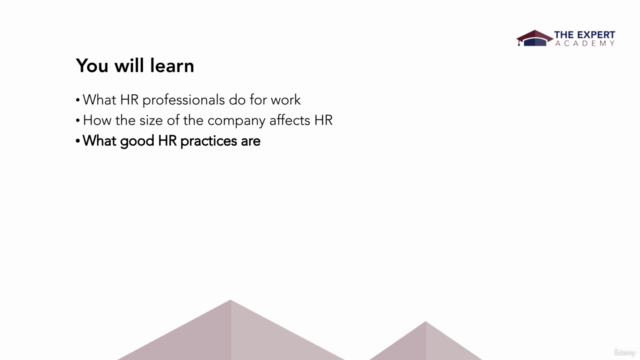 HR Fundamentals And Best Practices - Screenshot_02