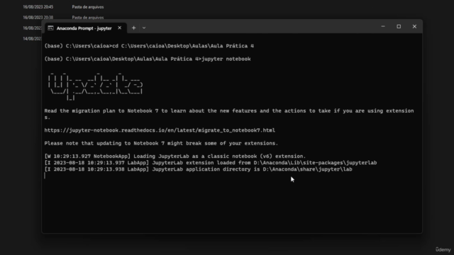 Análise de Sentimentos com Python e ChatGPT – Screenshot 1