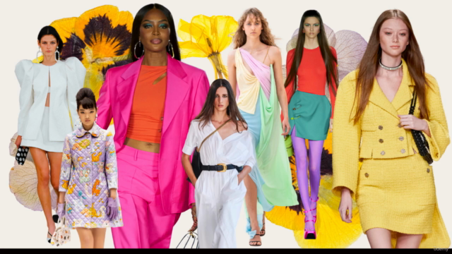 Estilismo: los colores que te favorecen – Screenshot 2