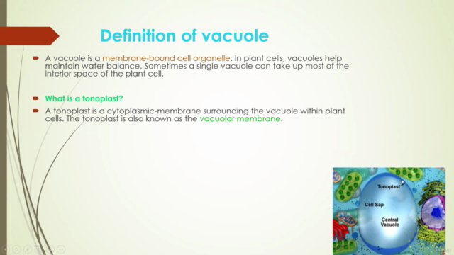 Different kinds of Prokaryotic and Eukaryotic Cells – Screenshot 1