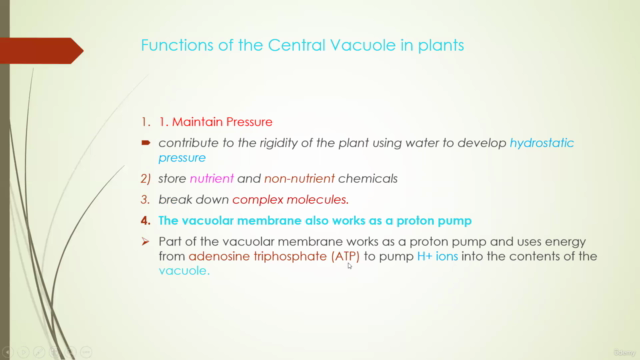 Different kinds of Prokaryotic and Eukaryotic Cells – Screenshot 3
