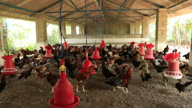 Master Course in Poultry and Pet Management 2.0 - Screenshot_03