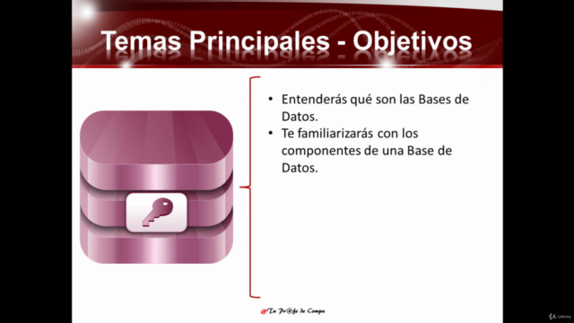 Gestión de Bases de Datos en Microsoft Access + Certificado – Screenshot 4