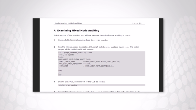 Auditing Oracle Databases - Enhance Database Security – Screenshot 3