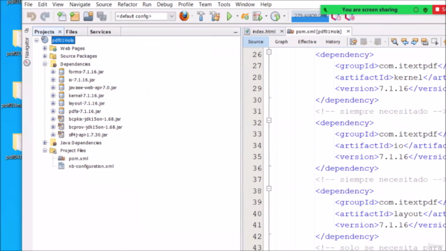 Reportes en PDF y Excel con Java full Ejercicios – Screenshot 4