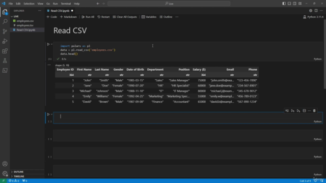 Data Analysis with Polars in Python – Screenshot 1