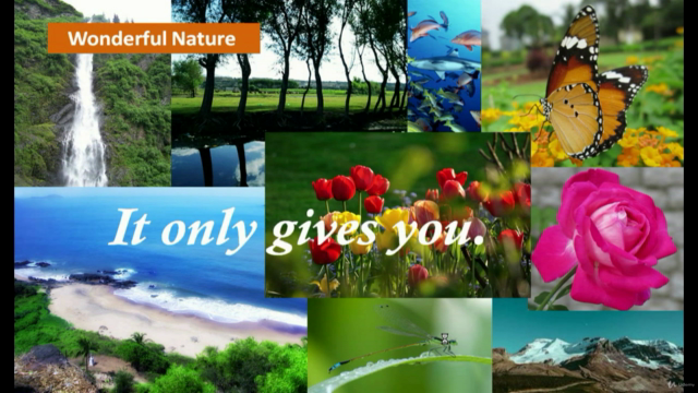 Overview of Aromatherapy – Screenshot 2