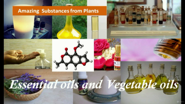 Overview of Aromatherapy – Screenshot 4