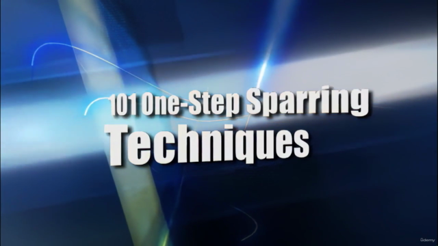 Mastering the Martial Arts 101 One-Step Sparring Techniques – Screenshot 2