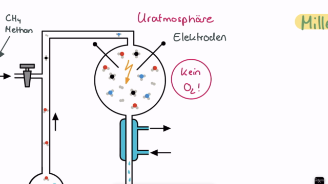 MedAT 2025: Biologie für den BMS (in Überarbeitung) – Screenshot 2
