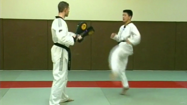 Taekwondo Kicks & Fight Techniques – Screenshot 4