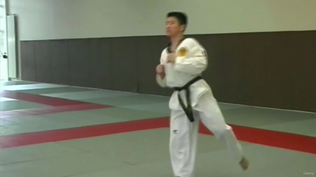 Técnicas de patada y lucha de Taekwondo - Screenshot_03