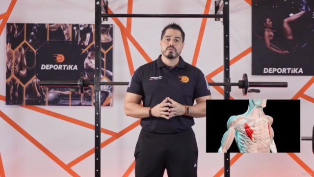 Entrenamiento de Torso, Definición Garantizada – Screenshot 1