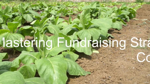 Mastering Fundraising Strategies for Business Success – Screenshot 2