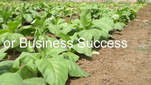 Mastering Fundraising Strategies for Business Success – Screenshot 3