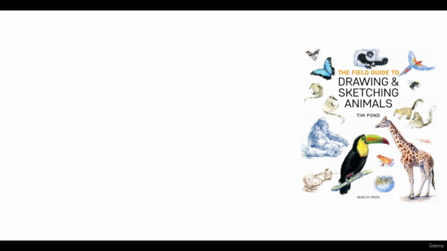 The School of Drawing: How to Draw Nature Masterclass – Screenshot 1