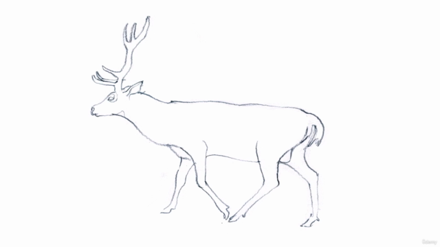 The School of Drawing: How to Draw Nature Masterclass – Screenshot 4
