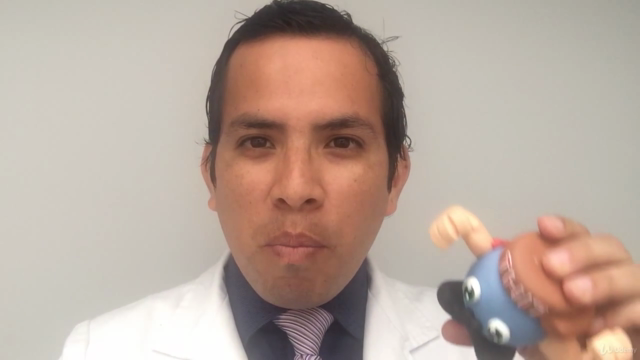 Inmunología Divertida – Screenshot 1