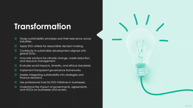 Sustainability and Corporate ESG | Practical Implementation – Screenshot 1
