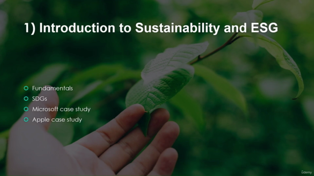 Sustainability and Corporate ESG | Practical Implementation – Screenshot 2