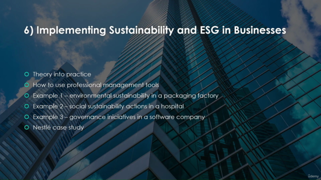 Sustainability and Corporate ESG | Practical Implementation – Screenshot 4