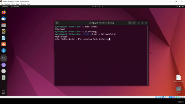 Linux Shell Scripting & Vi Editor Mastery Course [2024] ! – Screenshot 4