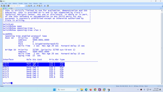 Cisco Nexus vPC (Virtual Port Channel) Training – Screenshot 1