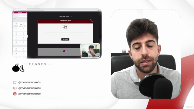 Curso Intensivo de Wordpress&Elementor. De novato a maestro – Screenshot 3