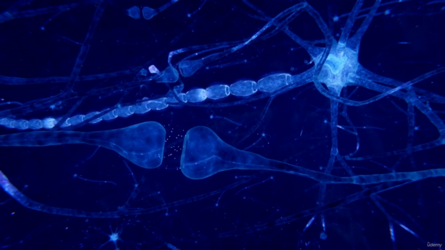 Qigong: The Grand Celestial Tour – Screenshot 1