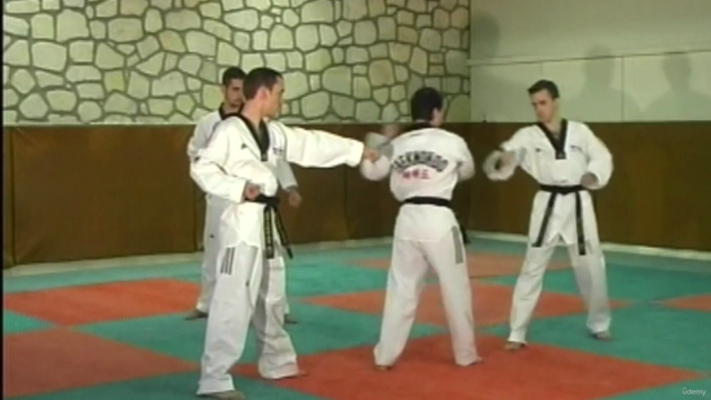 Programa de exámenes de Taekwondo hasta cinturón negro - Screenshot_03